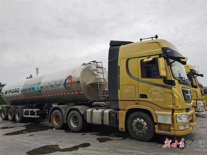 提升“含金量”“含新量”“含绿量” 推动生鲜乳道路运输项目加快崛起